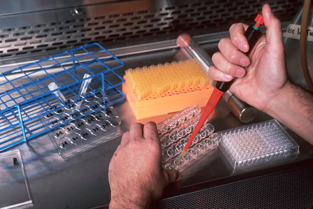 Close-up of a scientist's hands using a red micropipette to transfer a sample into a clear microplate, with pipette-tip boxes, sample tubes and a tube rack on the lab bench.