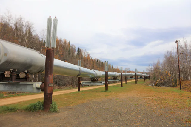 Elevated silver pipeline of the Trans-Alaska Pipeline System running through autumn boreal forest near Fairbanks, Alaska.